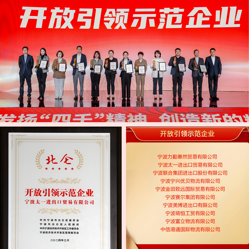 开放引领示范企业